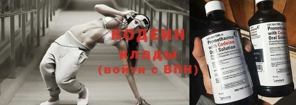 дмт Арсеньев