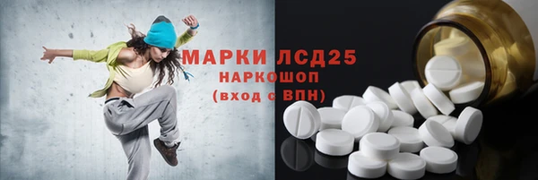 spice Аркадак