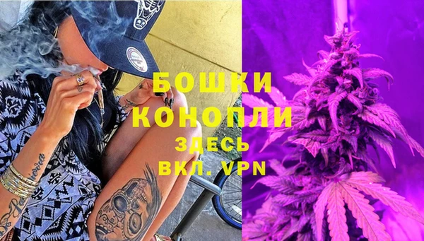 дмт Арсеньев