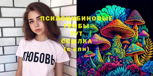 дмт Арсеньев
