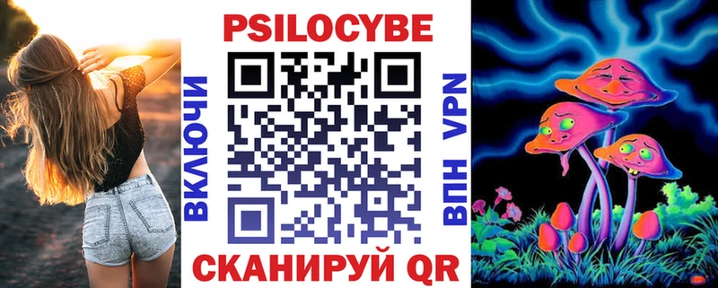 Псилоцибиновые грибы Psilocybe сколько стоит MEGA ONION Новоузенск